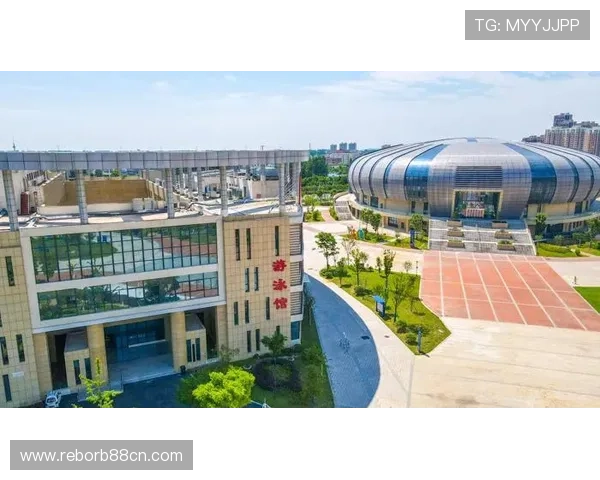 乐鱼官方体育网站积极推动体育文化传播,打造全民健身新平台 乐鱼官方体育网站积极推动体育文化传播,打造全民健身新平台