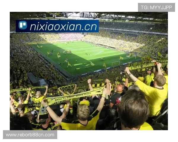 开云体育国际站：全球体育赛事直播、回放与高清画质体验全方位提升