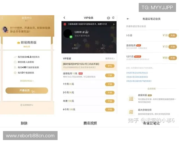 亚蒪体育会员登录常见问题及解决方案，确保每位用户都能顺利登录享受会员权益