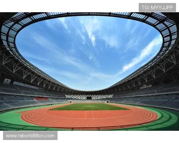 顶盛体育：探讨中国体育产业发展的新机遇与挑战